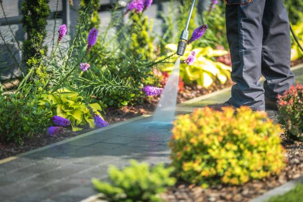 Best Pool Deck Cleaning  in Rainier, OR