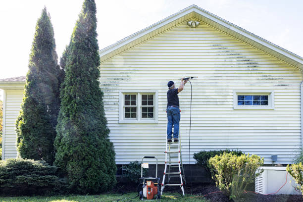 Best Patio and Deck Pressure Washing  in Rainier, OR